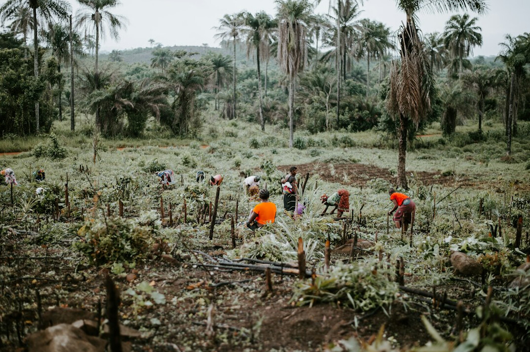 family planting trees